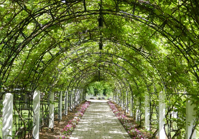 Fruit Orchards » The Christopher Farm & Gardens