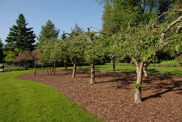 Fruit Orchards » The Christopher Farm & Gardens