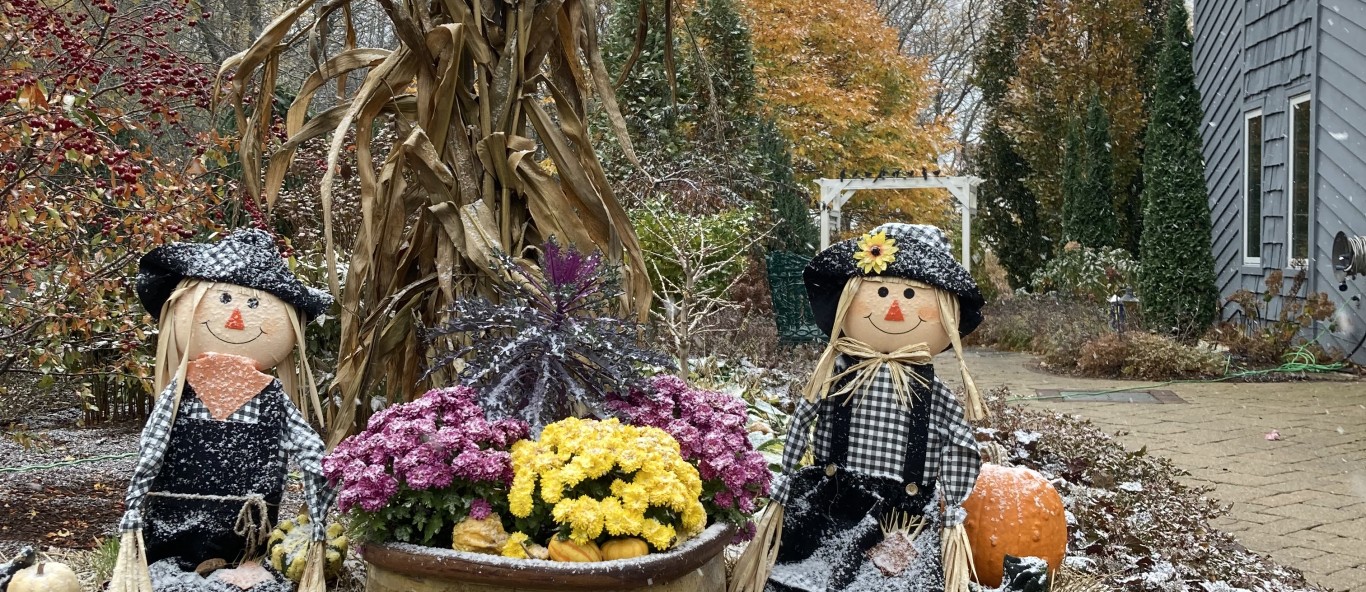 scarecrow pumpkins with snow