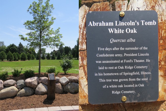 Abraham Lincolns Tomb White Oak