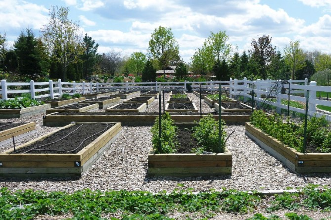 Kitchen Garden2 12 768