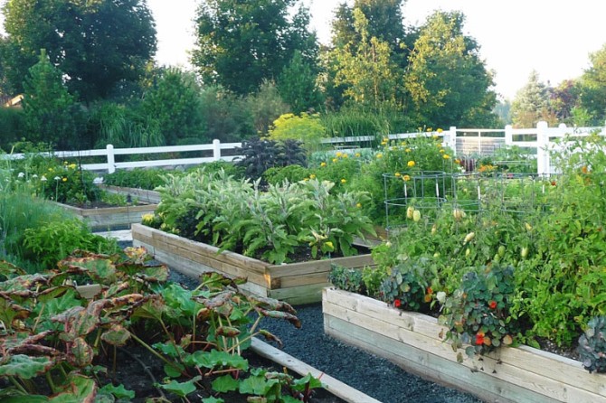 Kitchen Garden2 20 768