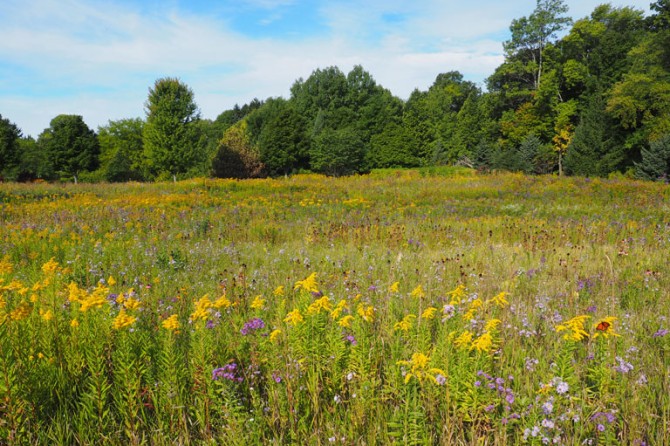 Lakeside Prairie 10 768