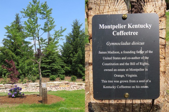 Montpelier Kentucky Coffee