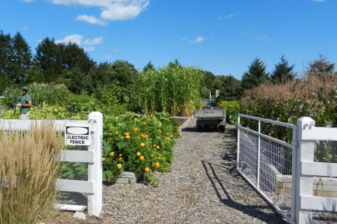 PumpkinPatch DetailPage GalleryImage 768x535 03