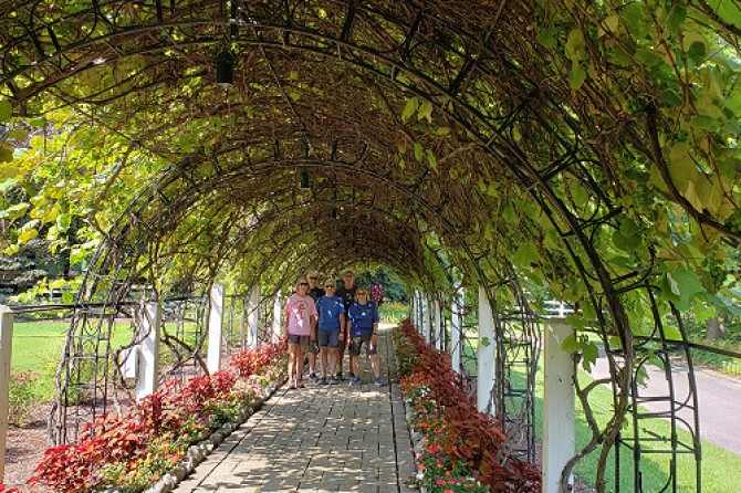 grape arbor group