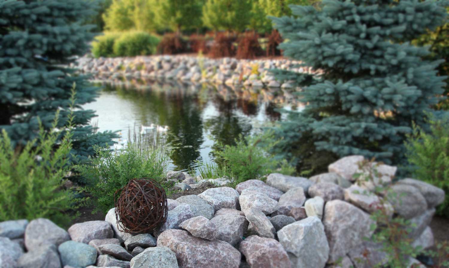 Connect with 50 acres of botanical gardens Slider Image