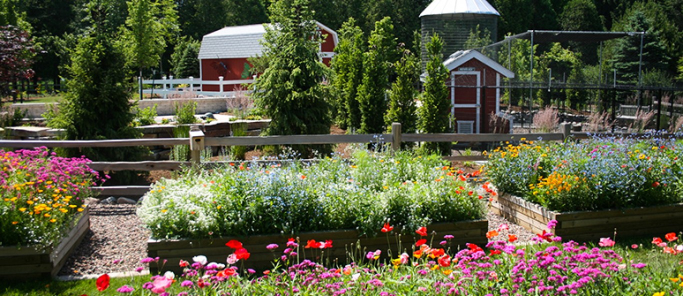 banner kids farm