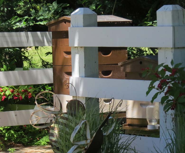 HoneyBees.jpg Thumbnail