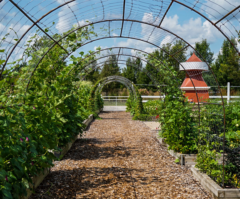 Veg-Garden-Spiff.jpg Thumbnail